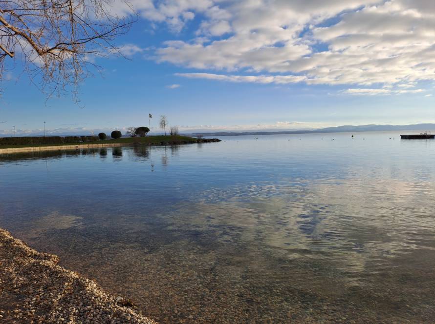 Bord du lac Cortaillod